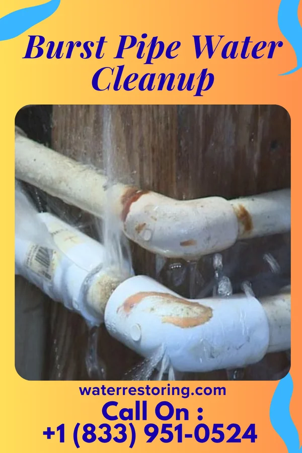 Burst Pipe Water Cleanup in Custer, SD