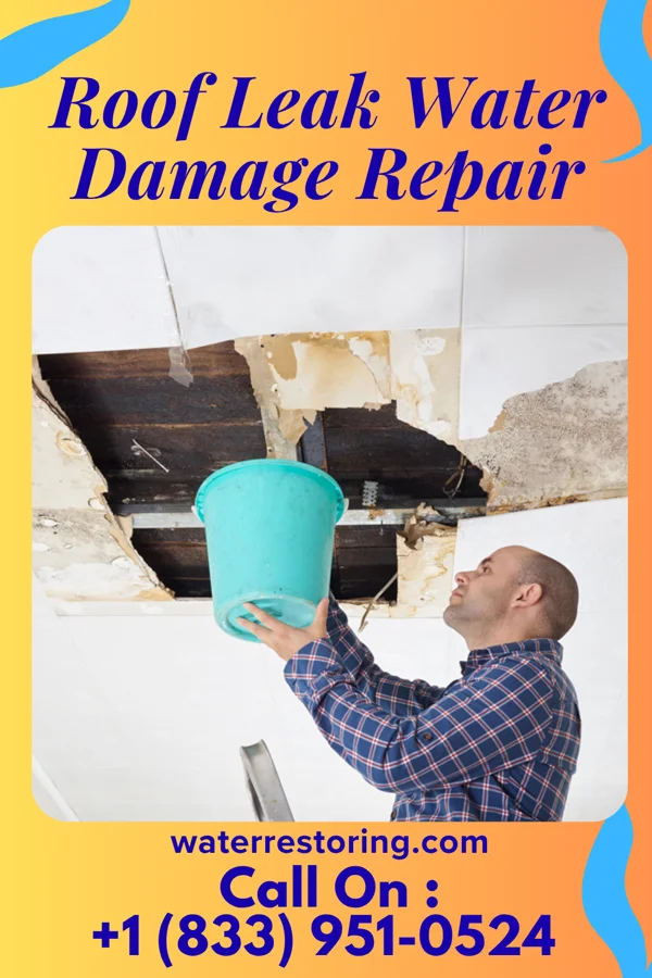 Roof Leak Water Damage Repair in Custer, SD