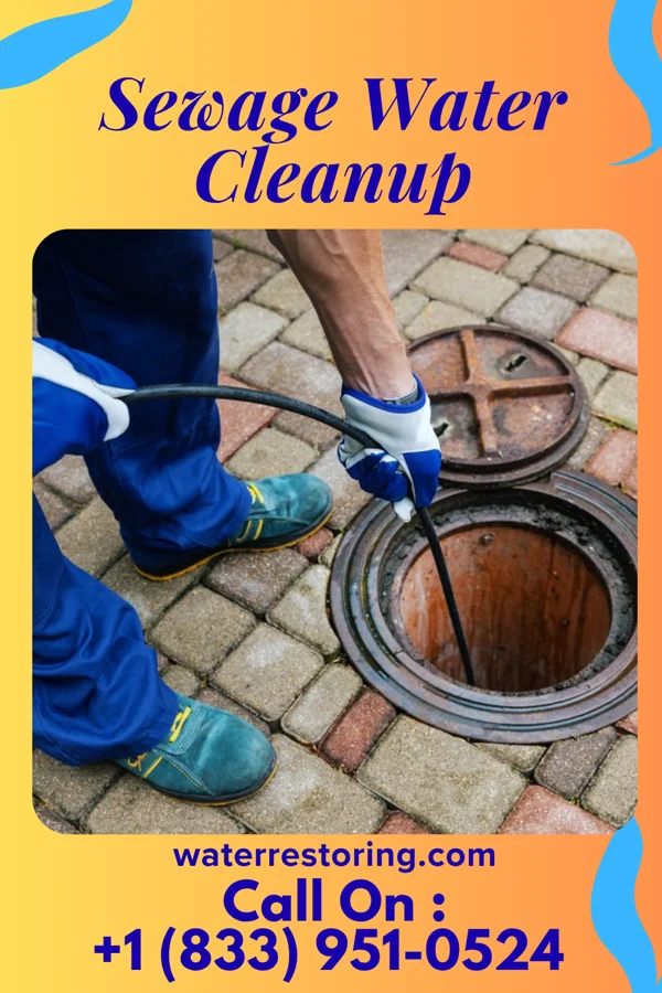 Sewage Water Cleanup in Custer, SD